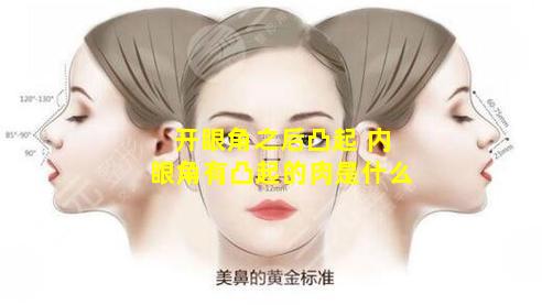 开眼角之后凸起 内眼角有凸起的肉是什么